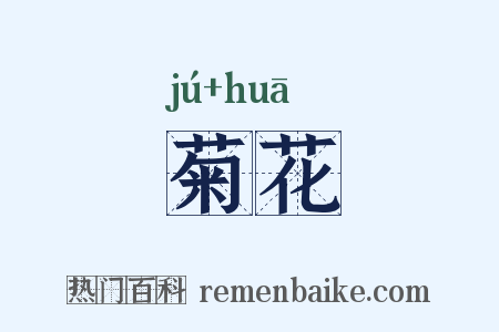菊花是什么意思的图片